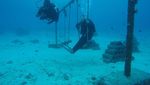 7 Destinasi Diving Keren di Indonesia