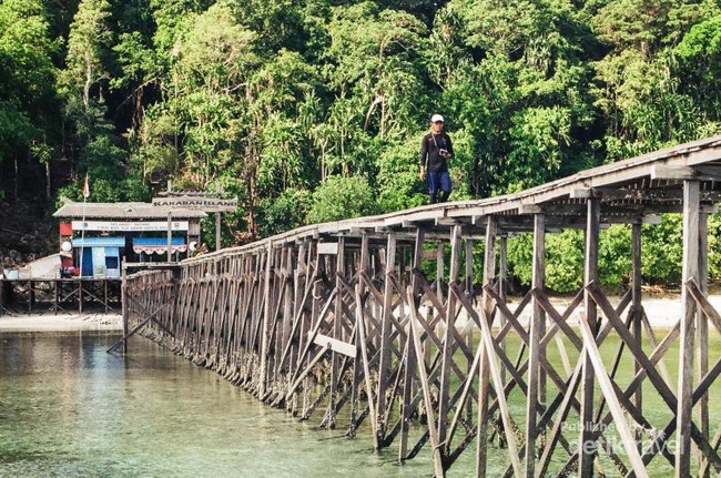 Ada Danau Ubur-ubur Tanpa Sengat di Pulau Kakaban