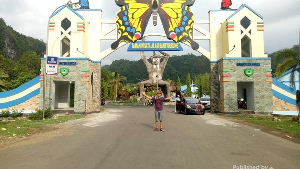 Ada Kerajaan Kupu-kupu di Sekitar Telaga yang Sejuk Ini
