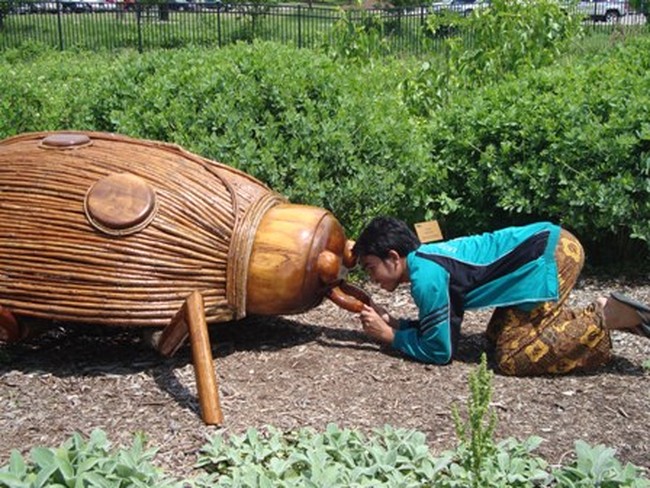 Ada Serangga Raksasa di Reiman Garden, Ohio