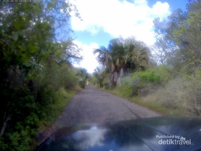 Afrika Tapi Milik Indonesia