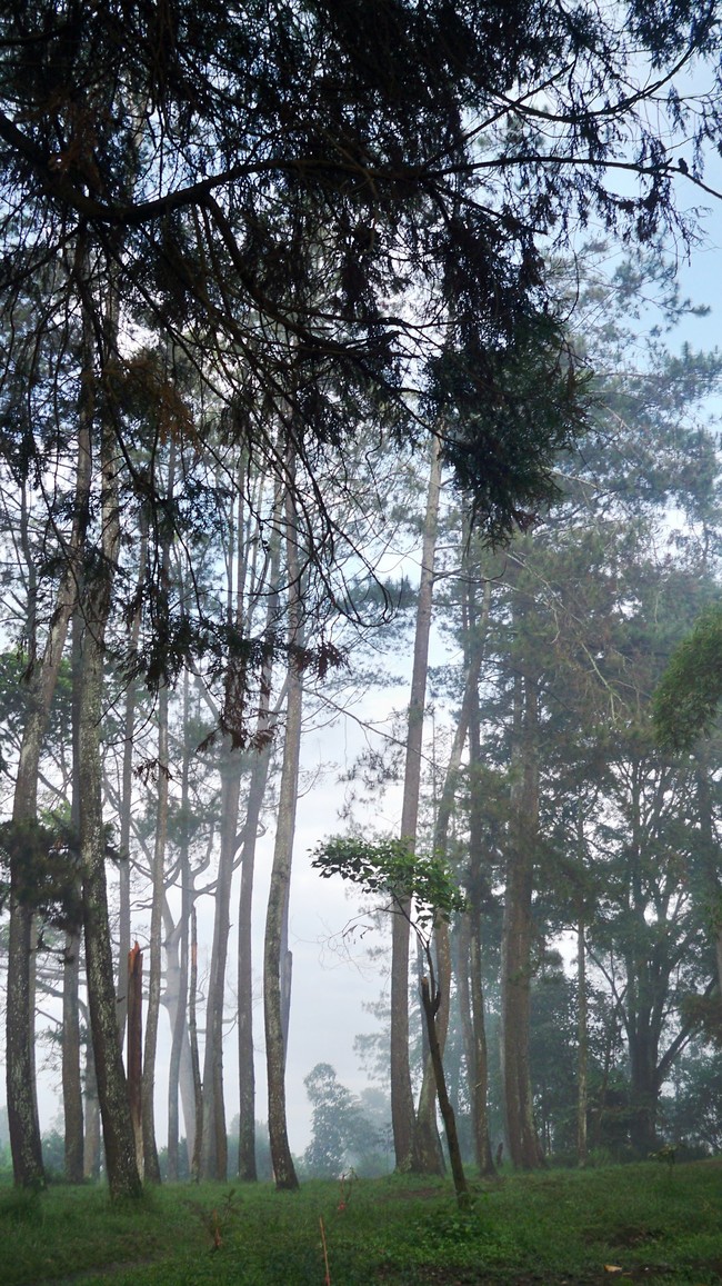 Akhir Pekan di Lembang, Coba ke Jayagiri