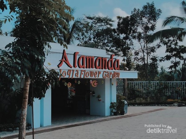 Alamanda Flower Garden, Satu Lagi Tempat Foto-foto Asyik di Yogya