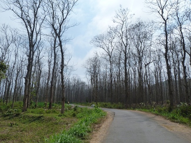 Amazing Papuma Beach