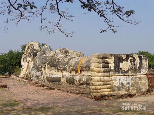 Aneh Tapi Nyata, Ada Kepala Buddha di Dalam Pohon