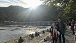 Arashiyama, Tak Hanya Sekadar Hutan Bambu