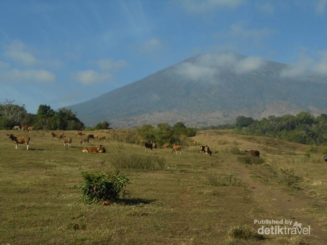 Asyiknya Mendaki Rinjani