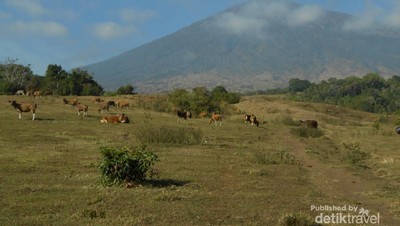 Asyiknya Mendaki Rinjani