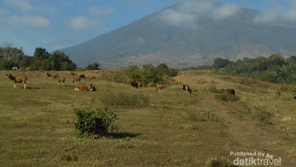 Asyiknya Mendaki Rinjani
