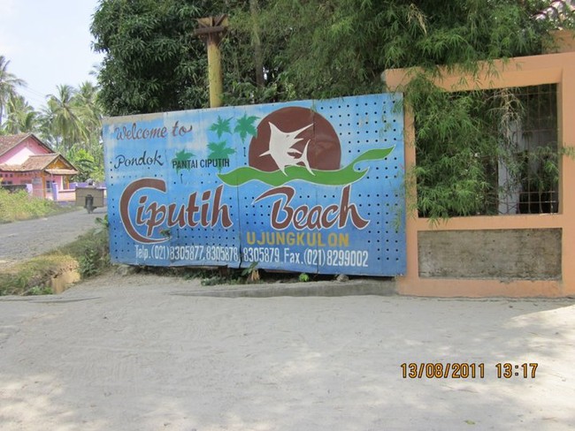 Backpacking ke Pantai Ciputih, Ujung Kulon