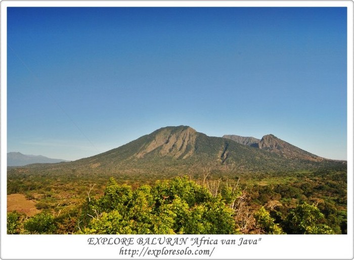Baluran, Africa van Java