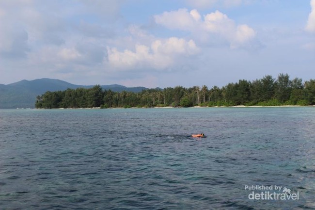 Basah-basahan di Karimunjawa Dulu Biar Semangat