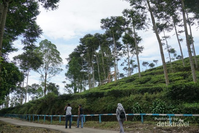 Bentuk Borobudur Ngawi Tak Seperti di Magelang
