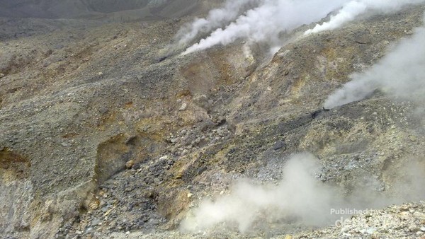 Berbagai Sisi Gunung Papandayan yang Memesona