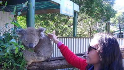 Bertemu hewan-hewan Khas Australia yang Menggemaskan