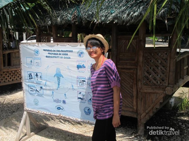 Bertemu Sang Raksasa Hiu Paus di Filipina