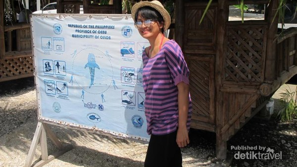 Bertemu Sang Raksasa Hiu Paus di Filipina