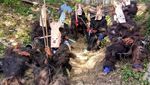 Budaya Wala Sebagai Identitas Suku Matbat di Raja Ampat