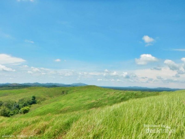 Pemandangan Bukit Rimpi sangat memanjakan mata. Dari Kota Banjarmasin menuju ke Pelaihari memerlukan waktu perjalanan sekitar 2 jam dengan kendaraan bermotor. Pemandangan Bukit Rimpi sangat memanjakan mata. Dari Kota Banjarmasin menuju ke Pelaihari memerlukan waktu perjalanan sekitar 2 jam dengan kendaraan bermotor.