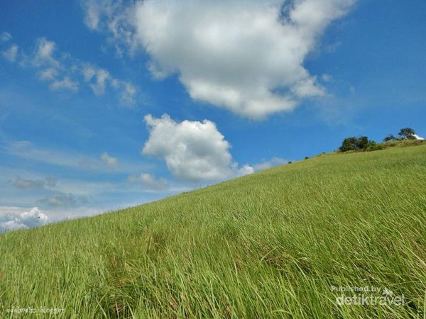 Di Bukit Rimpi, warna rumput hijau, awan putih dan biru berpadu sempurna dalam pemandangan yang indah untuk difoto.
