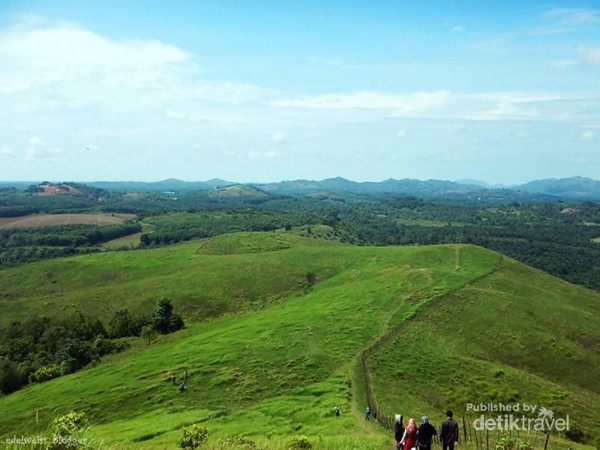 Walau Bukit Rimpi merupakan padang penggembalaan sapi, tetapi tidak ada sedikitpun kotoran sapi bahkan tidak ada sapi yang berkeliaran mengganggu wisatawan.