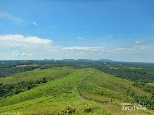 Bukit Rimpi Pelaihari adalah salah satu bukit yang memiliki savana hijau yang indah.