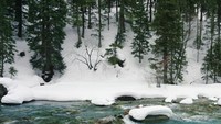 Pesona Sonamarg yang tertutup salju yang disisi bawahnya mengalir air sungai yang sangat jernih berwarana kehijauan.