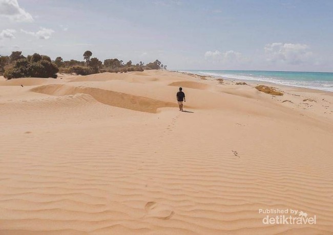 Bukan di Timur Tengah, Ini Gurun Pasir di NTT