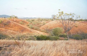 Bukit Cantik yang Selalu Bikin Rindu Kota Palu