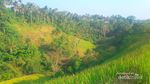 Bukit yang Indah, Tempat Menenangkan Diri di Bali
