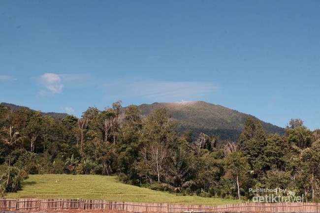 Butuh yang Segar-segar? Kaki Gunung Ini Bisa Jadi Obatnya
