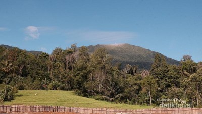 Butuh yang Segar-segar? Kaki Gunung Ini Bisa Jadi Obatnya