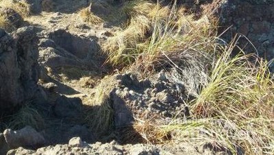 Capek Tapi Nikmat ke Puncak Padar