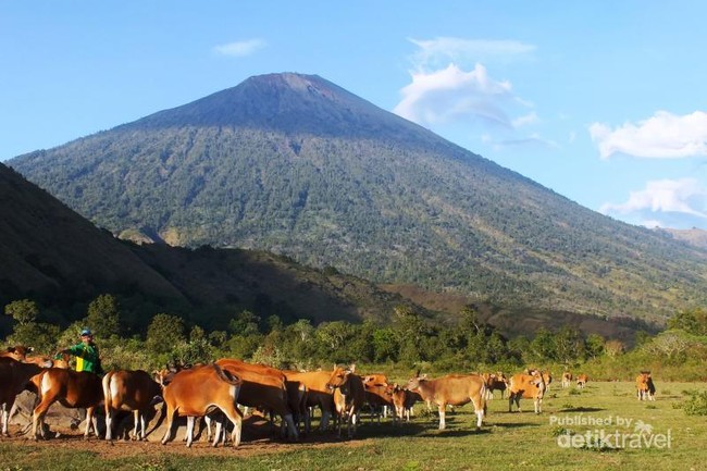 Dandaun, Satu Lagi Spot Cantik di Lombok