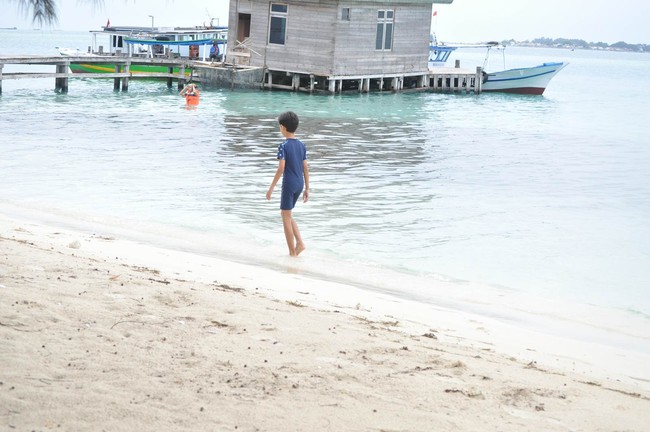 Dari Lepas Tukik Sampai BBQ di Pulau Pramuka