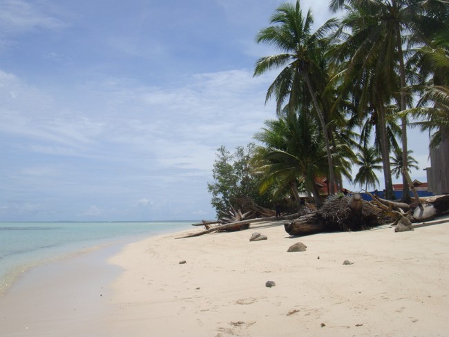 Derawan Island, Spot Diving Terbaik Setelah Raja Ampat