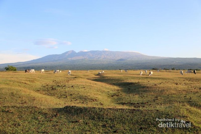 Desa di Sumbawa yang Pemandangannya Indah Sekali!