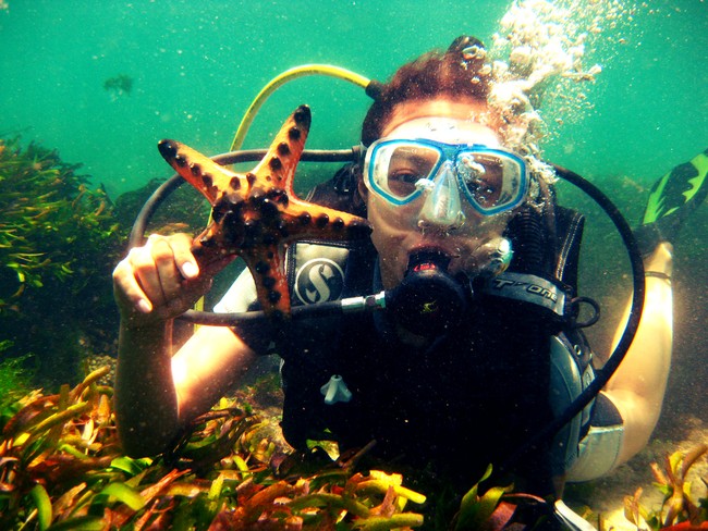 Diving Cemen di Tanjung Benoa