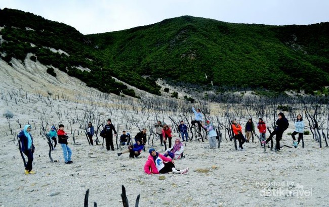 Eksotisnya Hutan Mati Gunung Papandayan
