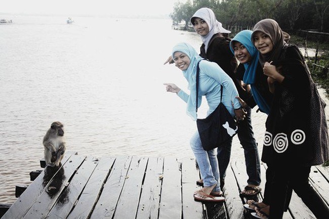 Exploring South Borneo