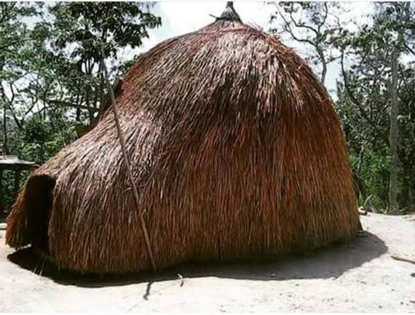 Ini adalah ume kbubu, rumah adat orang Timor.