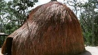 Ini adalah ume kbubu, rumah adat orang Timor.