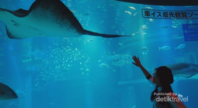 Foto: Akuarium Terbaik di Jepang