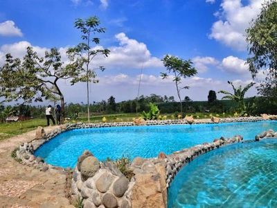 Foto: Bukan di Jepang, Ini Hutan Bambu Keren di Banyumas