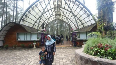 Foto: Kastil di Tengah Hutan Pinus Lembang