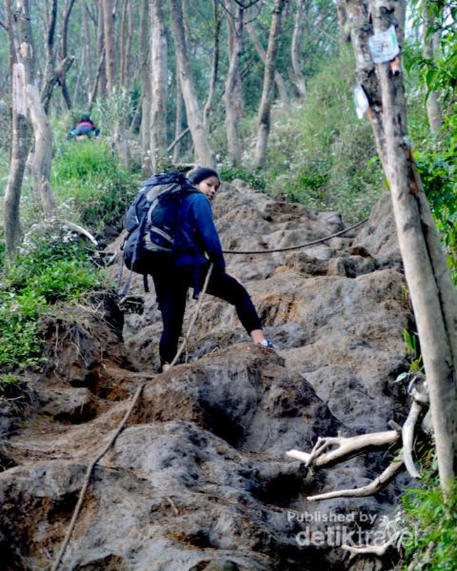 Foto: Menggapai Puncak Merbabu dan Prau