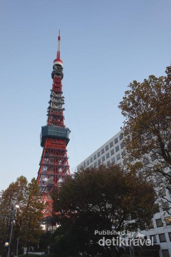 Foto: Pemandangan Keren dari Tokyo Tower
