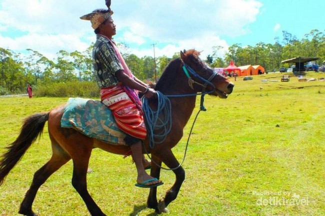 Foto Pesta Rakyat Dari Kabupaten Timor Tengah Selatan