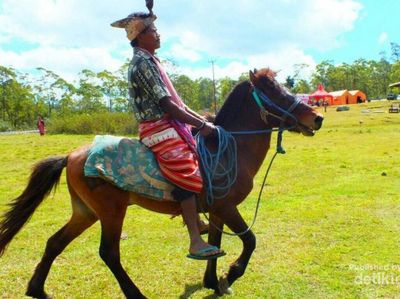 Foto Pesta Rakyat Dari Kabupaten Timor Tengah Selatan