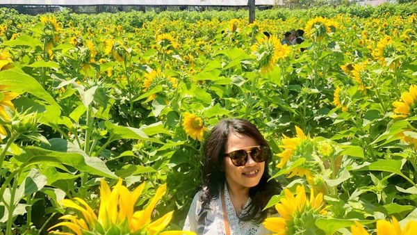Foto: Taman Bunga Matahari yang Lagi Ngehits di Kupang